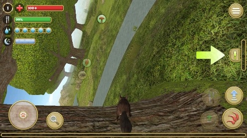Squirrel Simulator Online松鼠模擬器無限松果版