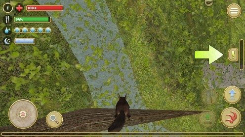 Squirrel Simulator Online松鼠模擬器無限松果版