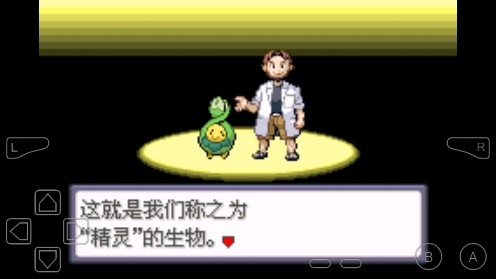 口袋妖怪命運(yùn)紅寶石3生命守護(hù)者金手指版