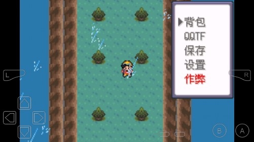 口袋妖怪暴龍改版金手指版