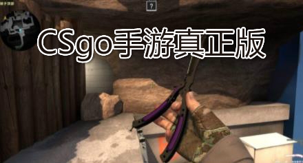 CSgo手游真正版 CSgo手游真正版