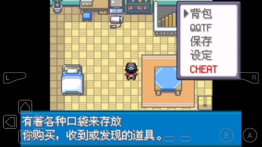 口袋妖怪風(fēng)雪之城金手指版