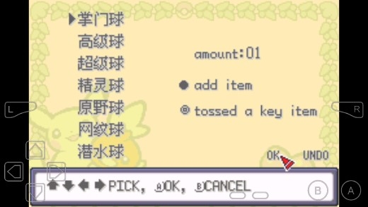 口袋妖怪風(fēng)雪之城金手指版