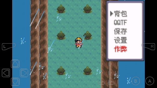 口袋妖怪龍之狂金手指版