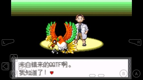口袋妖怪龍之狂金手指版