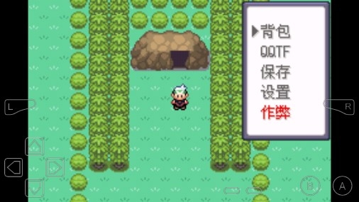 口袋妖怪罪惡的世界金手指版