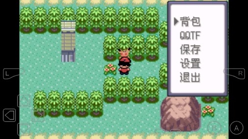 口袋妖怪琦黃之夢中文版