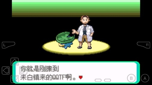 口袋妖怪日月金手指版