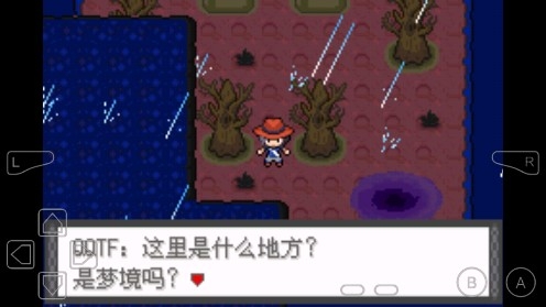 口袋妖怪風(fēng)之狂叫金手指版