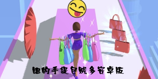 姐的手提包賊多安卓版