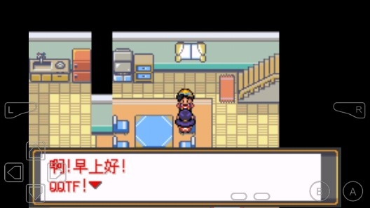 口袋妖怪迷失夜4安卓版
