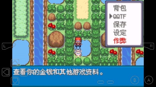 口袋妖怪永恒之焱緋紅max金手指版