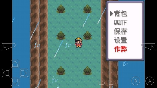 口袋妖怪暗黑之神金手指版