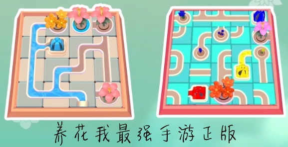 養(yǎng)花我最強手游正版