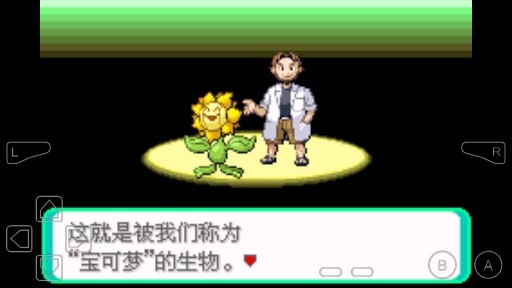 口袋妖怪綠寶石隨機(jī)進(jìn)化版
