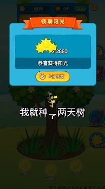 柚子熟了紅包版
