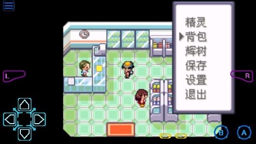 口袋妖怪mega覺醒0.5金手指版