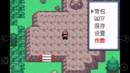 口袋妖怪決心上限250級(jí)金手指版