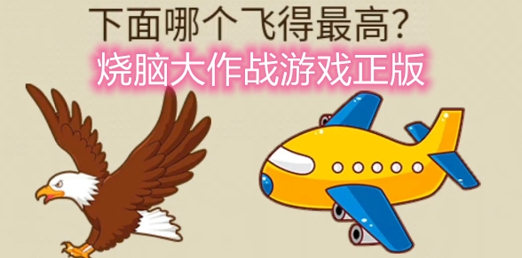 燒腦大作戰(zhàn)游戲正版
