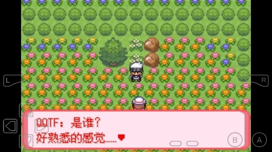 口袋妖怪暗古神壇傳說金手指版