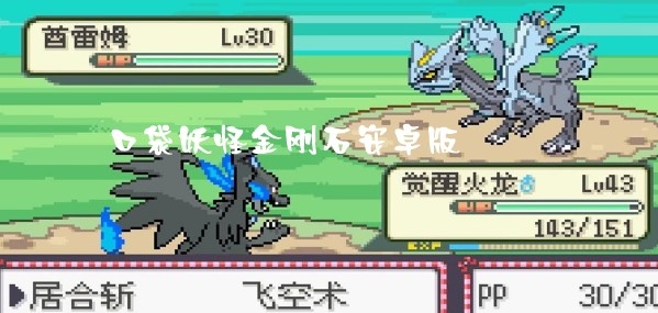 口袋妖怪金剛石安卓版