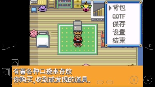 口袋妖怪去吧伊布5.0正版