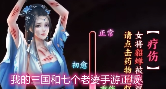 我的三國和七個(gè)老婆手游正版