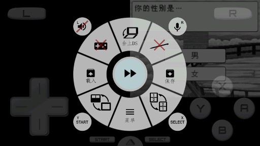 牧場物語養(yǎng)育你的小島金手指版