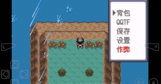 口袋妖怪狂之龍金手指版