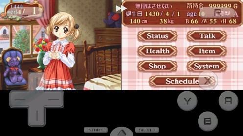 美少女夢工廠4DS特別版金手指版