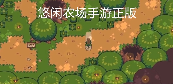 悠閑農(nóng)場(chǎng)手游正版