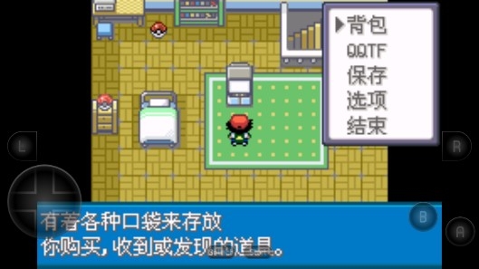 口袋妖怪圣灰中文版