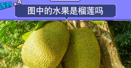 猜圖大贏家領(lǐng)現(xiàn)金版