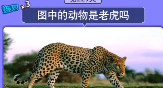 猜圖大贏家領(lǐng)現(xiàn)金版