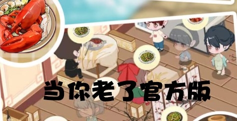 當你老了游戲官方版