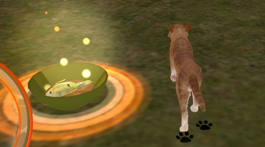 Street Cat Sim 2016街頭貓咪模擬器官方版