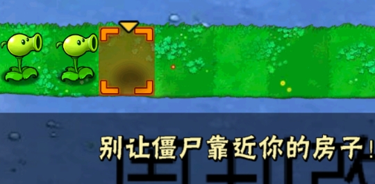 pvz周刊改版