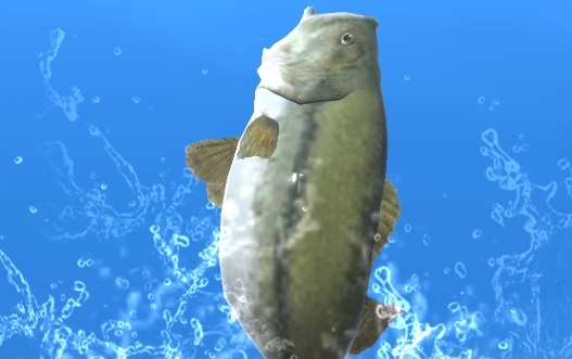 Fishing Season釣魚季官方版