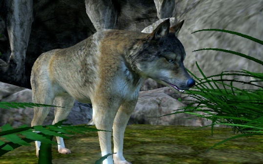 Wolf Simulator Evolution狼族模擬進化官方版