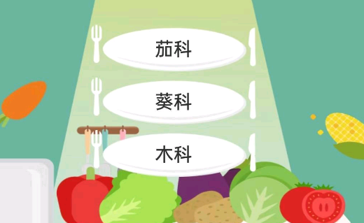 蔬菜大全游戲官方版