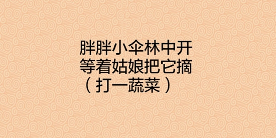 快樂猜燈謎官方版