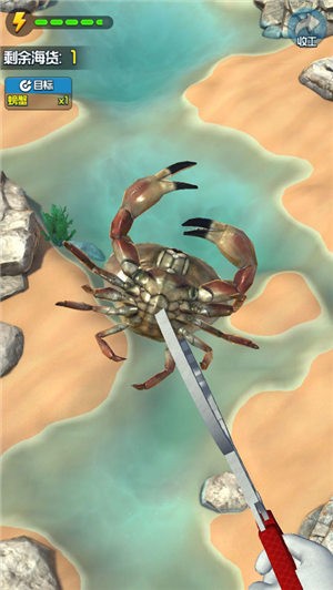 正版趕海王手游
