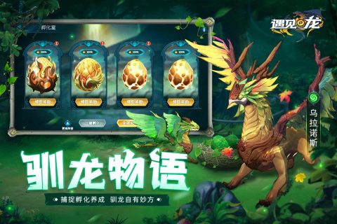 遇見(jiàn)龍官方手游