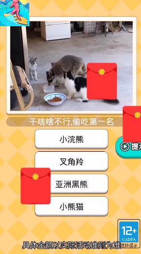 我的車技超強(qiáng)新版
