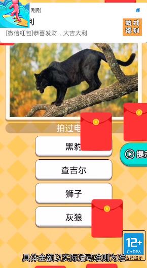 我的車技超強(qiáng)新版