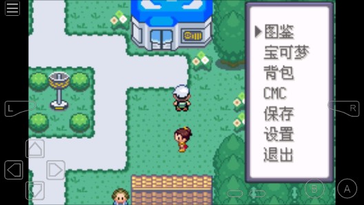 口袋妖怪綠寶石802金幣版
