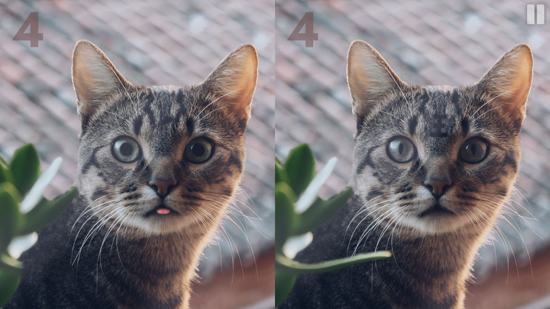 慧眼尋異正版手游