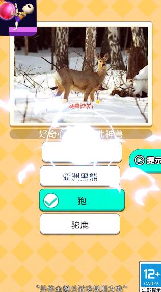 魔音球紅包版