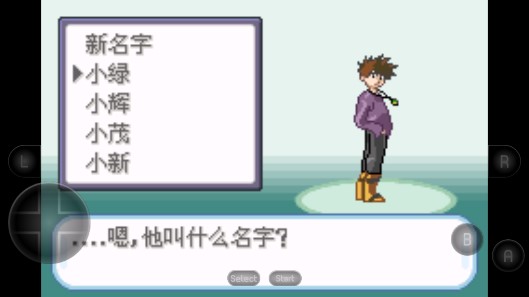 口袋妖怪圣灰漢化版下載