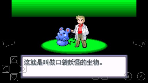 口袋妖怪鈾內置版